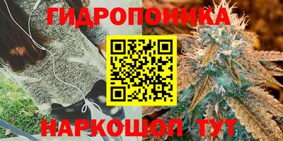 твердый Будённовск
