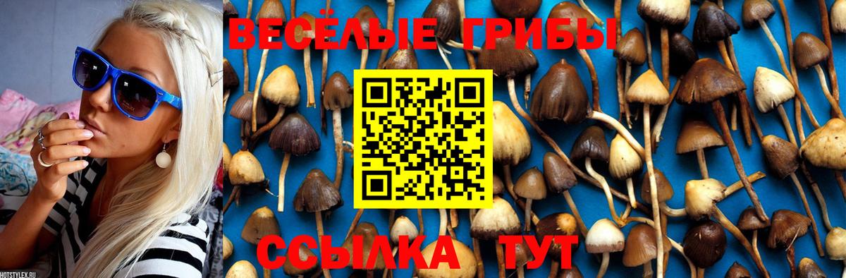 Псилоцибиновые грибы ЛСД Тихорецк