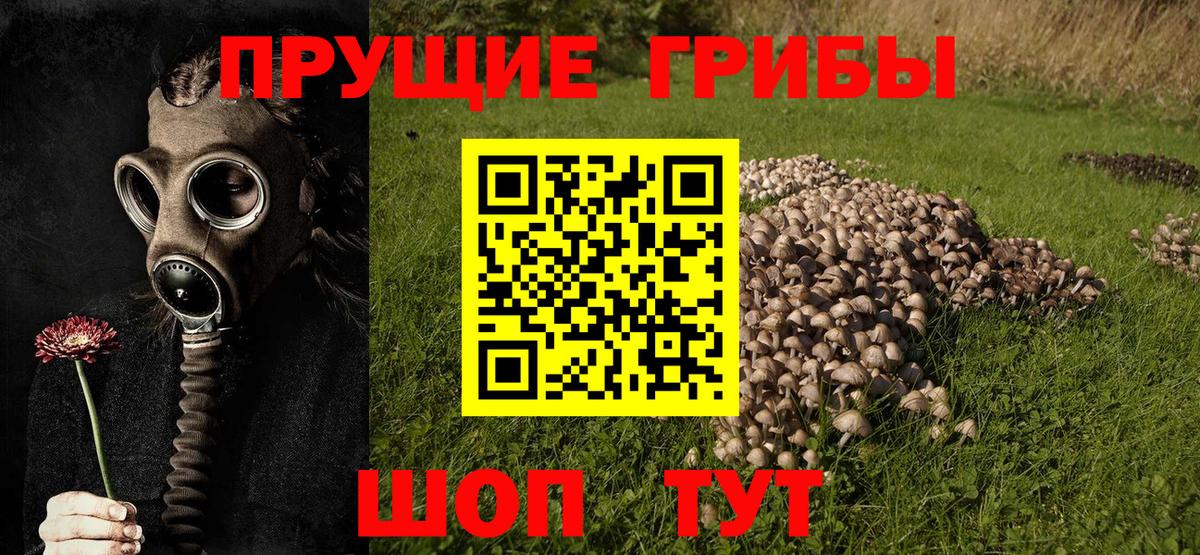 Псилоцибиновые грибы ЛСД  Вход с VPN  Тихорецк  Галлюциногенные грибы Psilocybine cubensis 